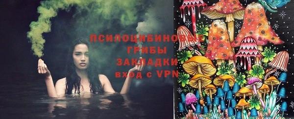 МДПВ Алзамай