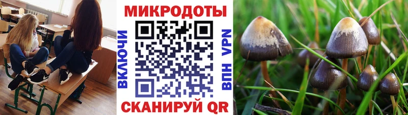 Псилоцибиновые грибы Magic Shrooms  Данков 